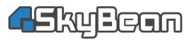 Logo Skb